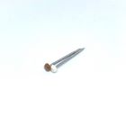 2.0X40mm Outside Anti UV Plastic Head Nails With Ring Shank