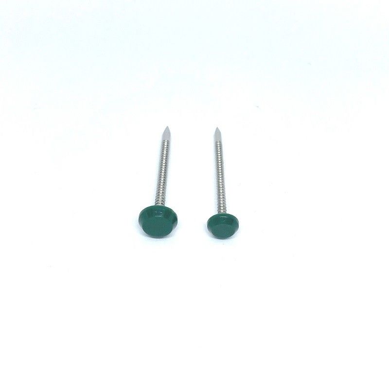 Shark Point A4 Material Plastic Head Nails Corrosion Resistant
