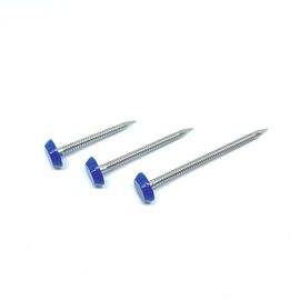 40mm SUS316 Ring Shank مسامير غطاء بلاستيكي لإصلاح اللفافة و Soffit