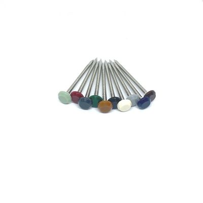 A4 الفولاذ المقاوم للصدأ UV رأس بلاستيك مستقر الأظافر Nylon PA6 رئيس